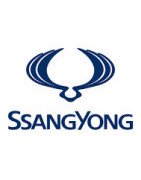 Misutonida predné rámy a nášľapy pre vozidlá SsangYong Kyron