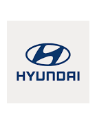 Misutonida predné rámy a nášľapy pre vozidlá  Hyundai Terracan 2004 - 2007